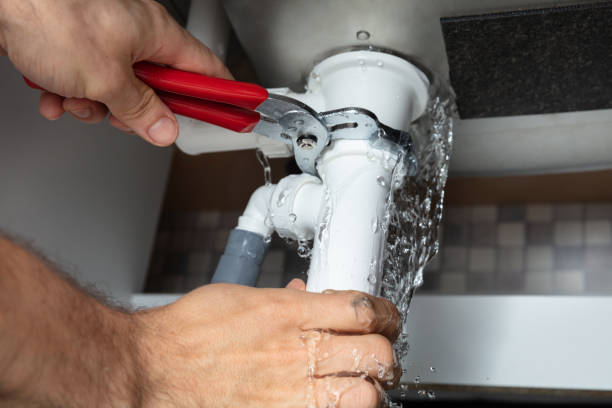 Best Water damage cleanup near me  in Willowbrook, CA