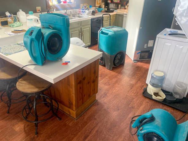 Best Commercial water damage restoration  in Willowbrook, CA