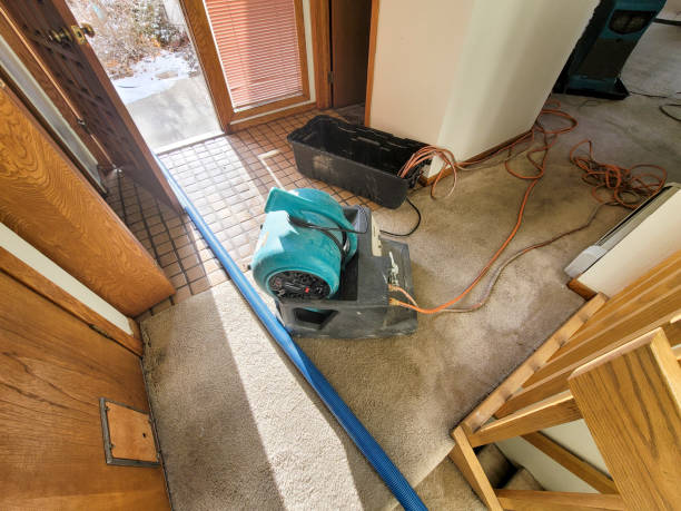 Reliable Willowbrook, CA Water damage restoration Solutions