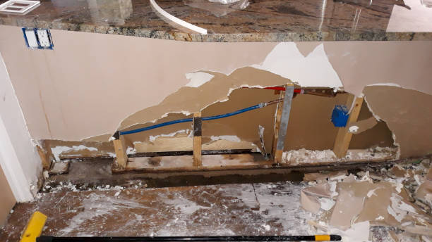 Best Water damage contractors near me  in Willowbrook, CA
