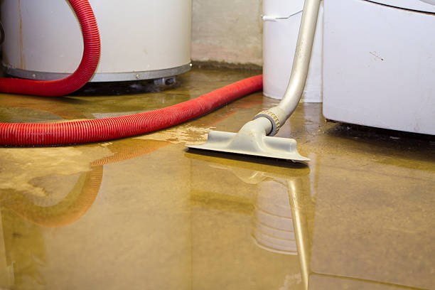 Reliable Willowbrook, CA Water damage restoration Solutions