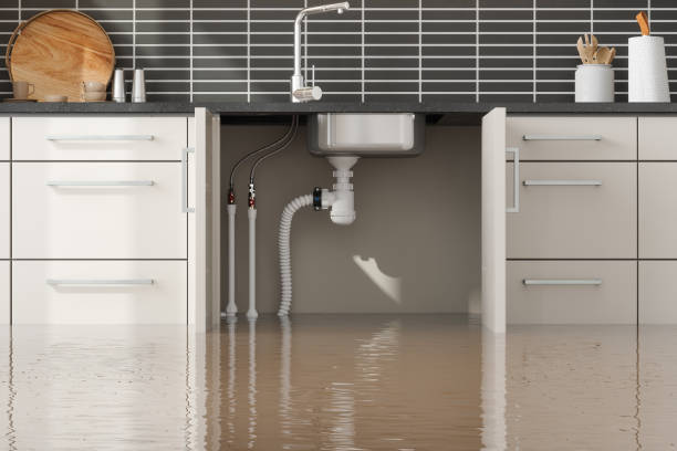 Best Ceiling water damage repair  in Willowbrook, CA